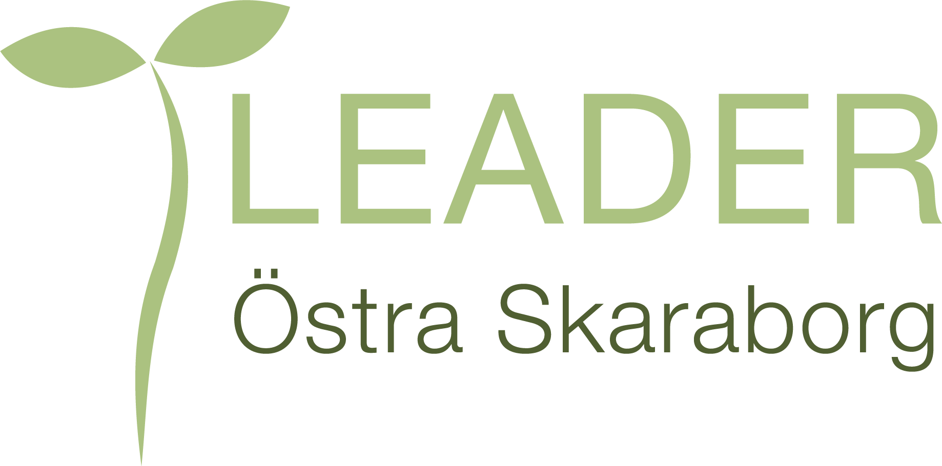 Leader